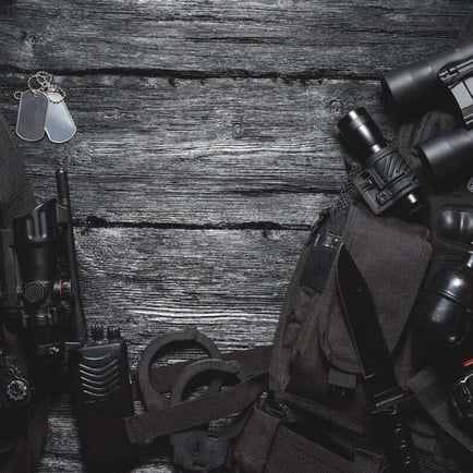 eCommerce agency experience selling guns and ammo online