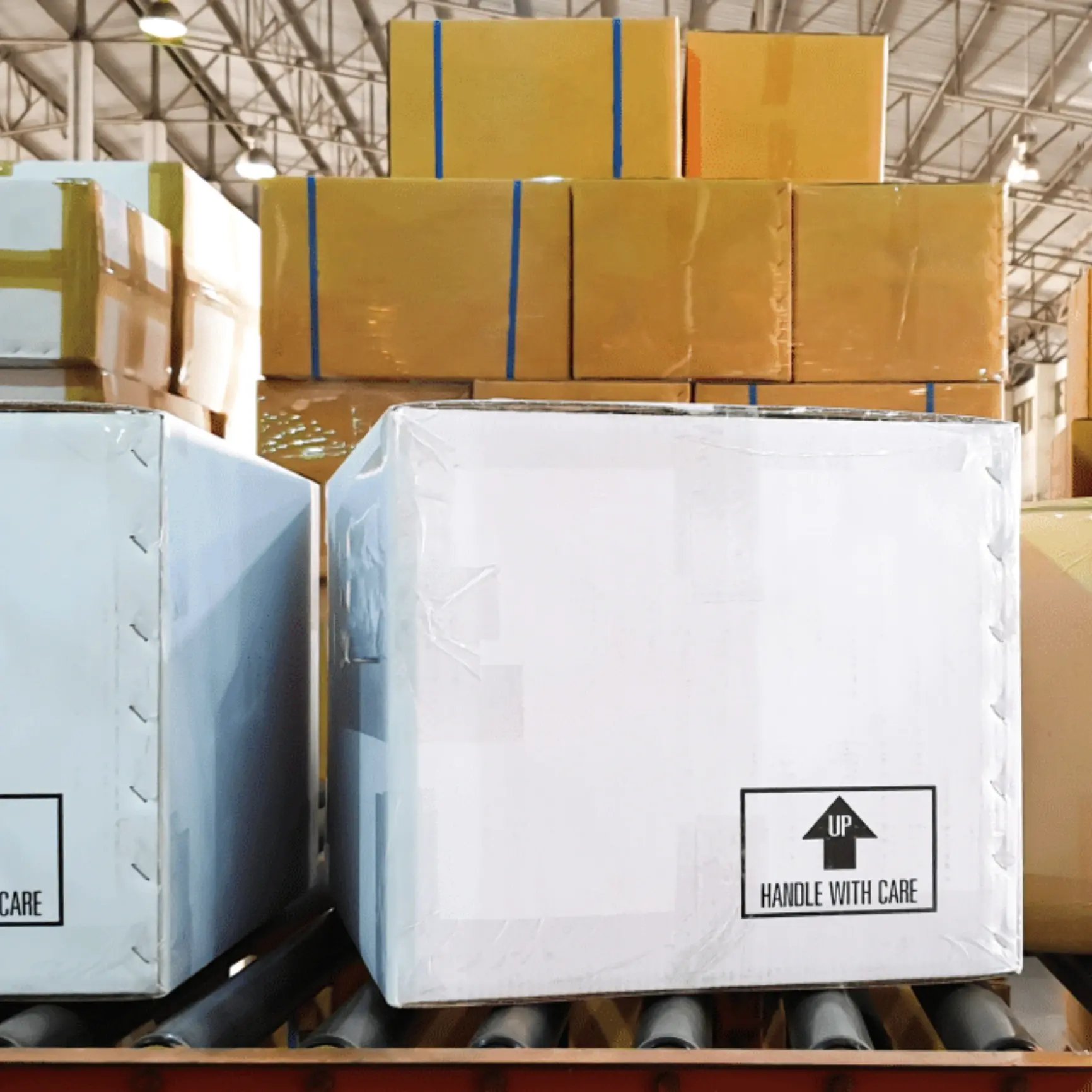 Magento and USPS updates