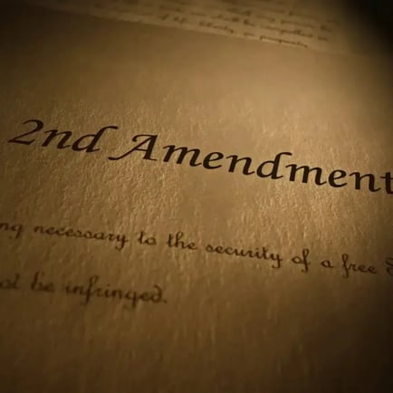 2A friendly gun stores