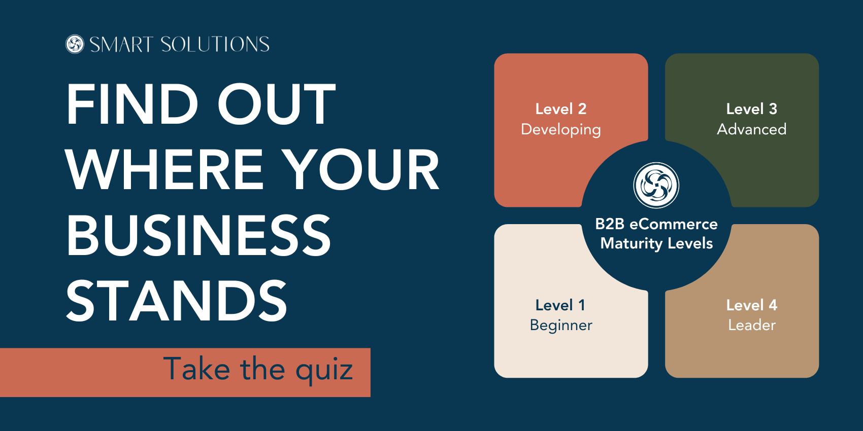 Promo B2B Maturity Assessment