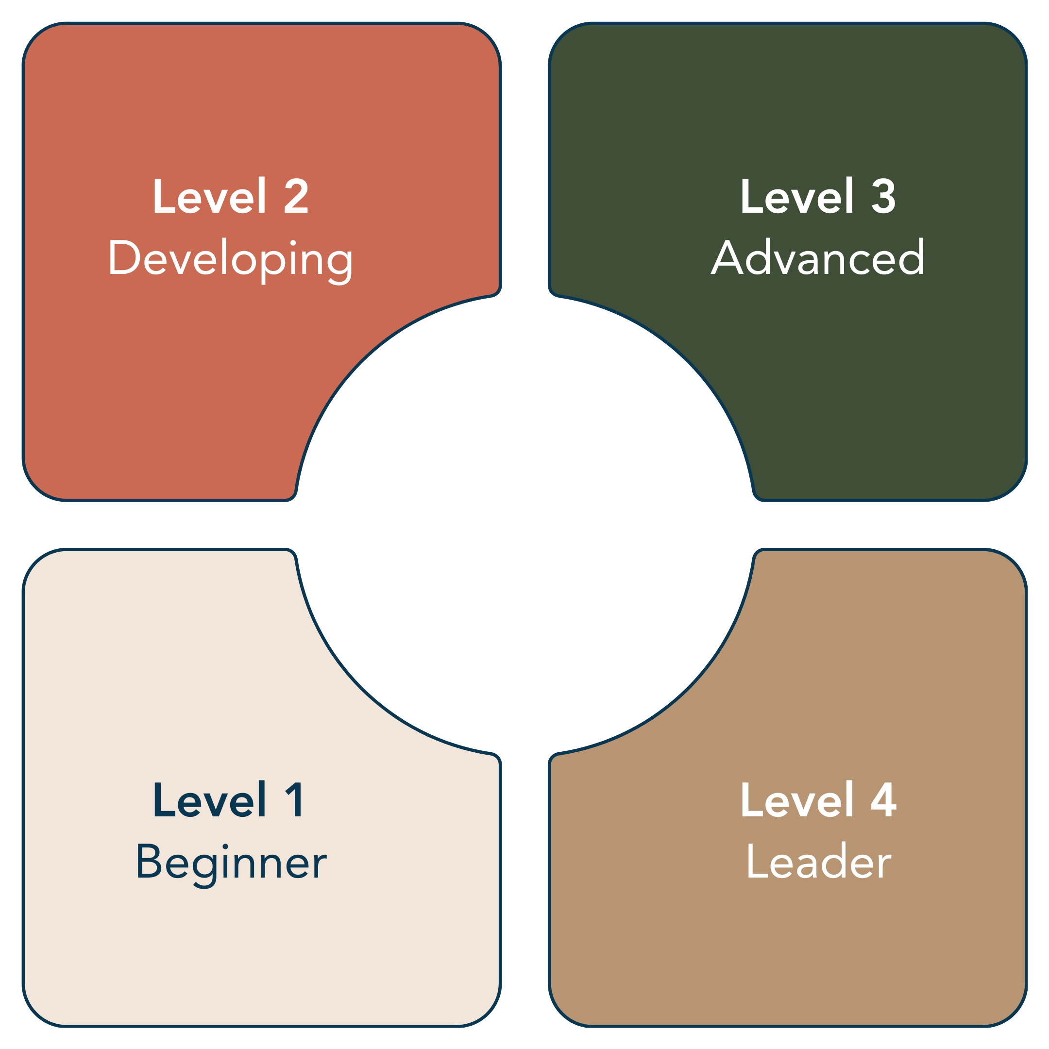 B2B Maturity Levels