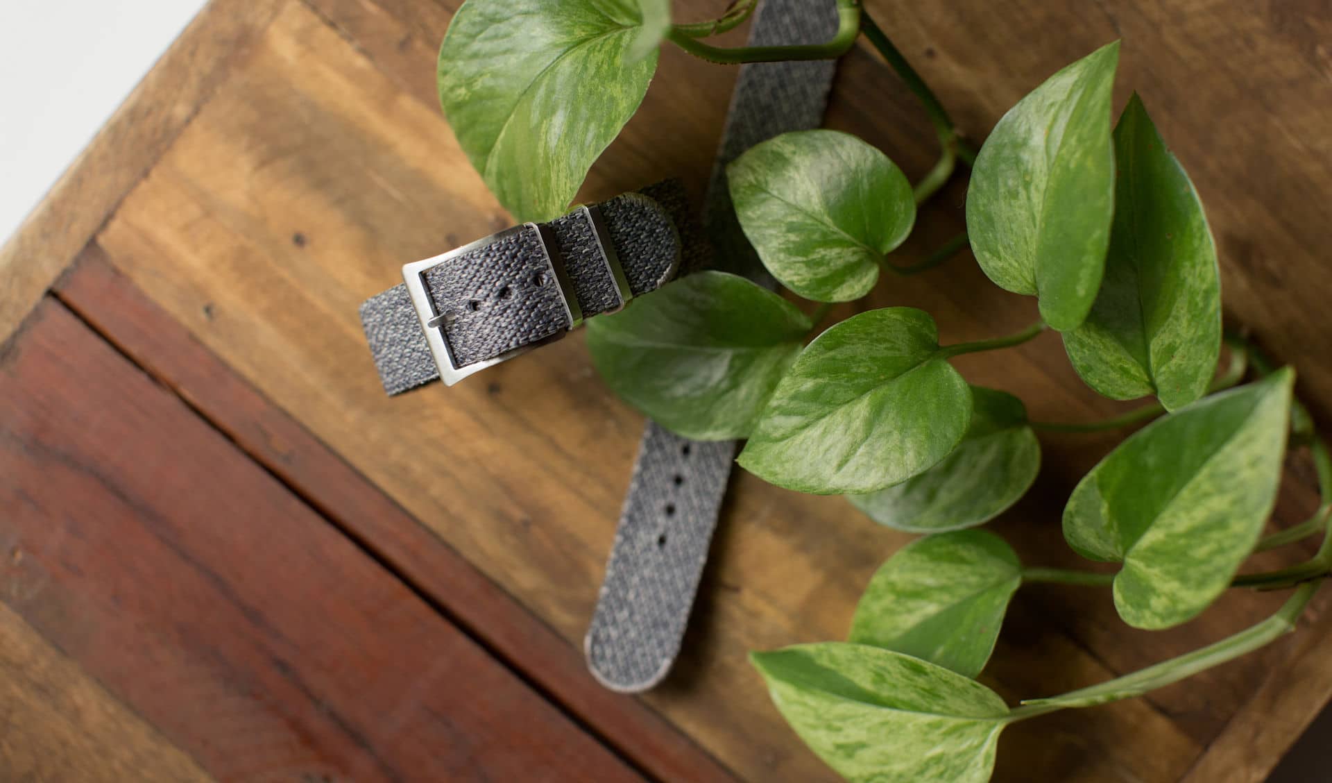 watch strap company