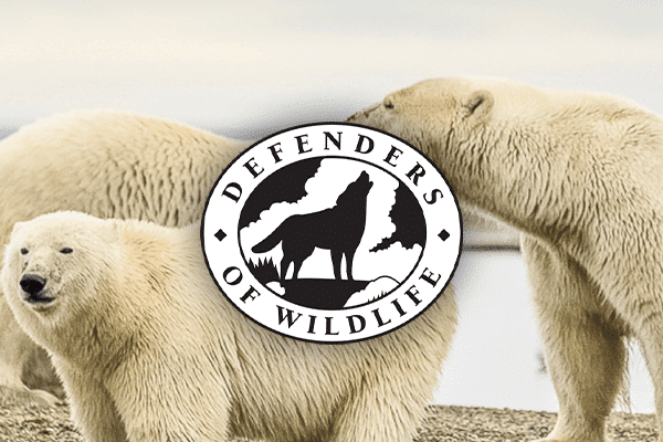 defenders of wildlife case study